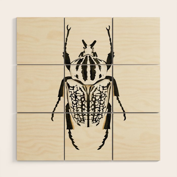  beetle insect Wood Wall Art Gallery Image 1