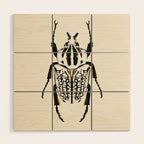  beetle insect Wood Wall Art Gallery Image 1