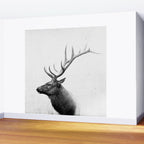 Bull Elk  Black and White Wildlife Photography Wall Mural Gallery Image 2