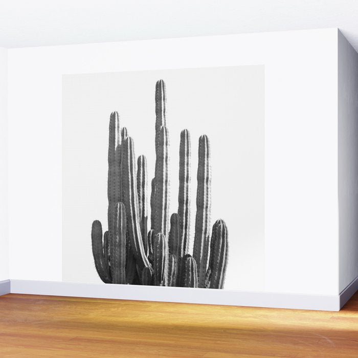 Black and White Cactus Wall Mural Gallery Image 2