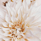 Autumn Mood #3 - Modern Botanical Photograph Coffee Mug Gallery Image 2