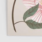 Peonies flowers I Poster Gallery Image 3