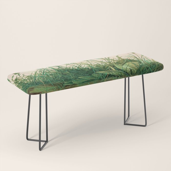 Albrecht Dürer The Great Piece of Turf ,1503 Bench Gallery Image 1