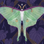 Night Trellis (Luna Moth) Coffee Mug Gallery Image 2