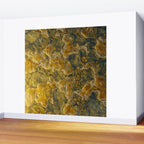 Abstract Studio 5 Wall Mural Gallery Image 2