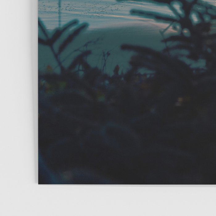 Coastal Sunset Poster Gallery Image 3