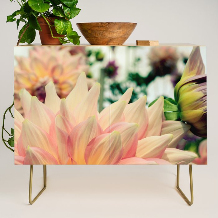 Joyful Noise - Modern Botanical Photograph Credenza Gallery Image 1