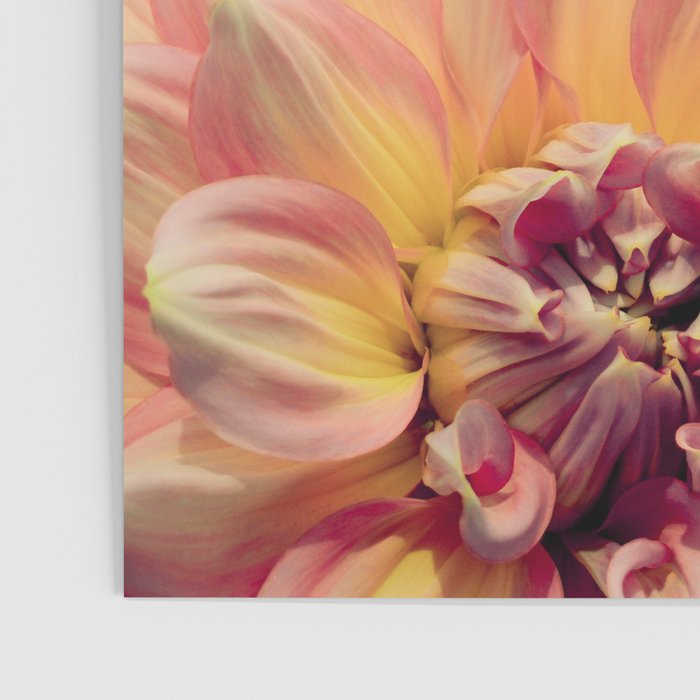 Joyful Noise - Modern Botanical Photograph Poster Gallery Image 3
