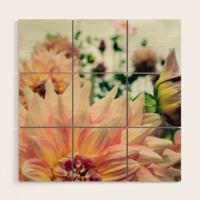 Joyful Noise - Modern Botanical Photograph Wood Wall Art Gallery Image 1