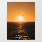 "flying solo" Poster Gallery Image 4