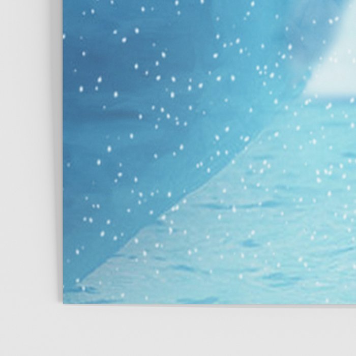 Penguins Poster Gallery Image 3