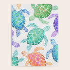 Sea Turtle - Colour Poster Gallery Image 4