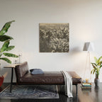 Cholla Cactus Garden (Black + White) Wood Wall Art Gallery Image 2