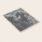 Cholla Cactus Garden (Black + White) Notebook Gallery Image 3