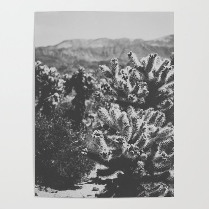 Cholla Cactus Garden (Black + White) Poster Gallery Image 1