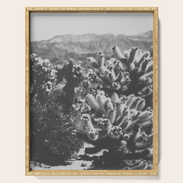 Cholla Cactus Garden (Black + White) Serving Tray Gallery Image 1