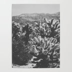 Cholla Cactus Garden (Black + White) Poster Gallery Image 4