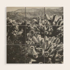 Cholla Cactus Garden (Black + White) Wood Wall Art Gallery Image 1