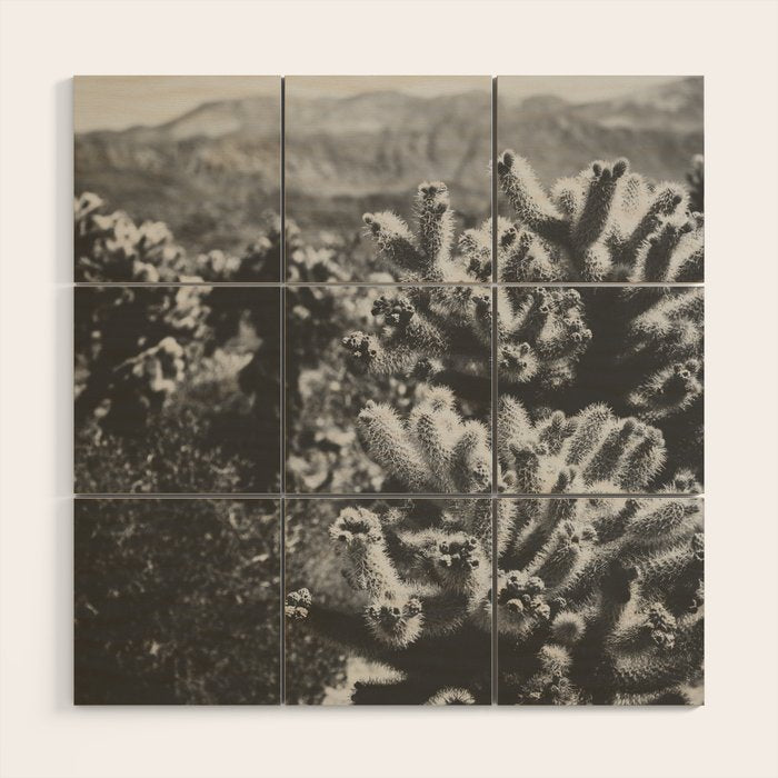 Cholla Cactus Garden (Black + White) Wood Wall Art Gallery Image 1