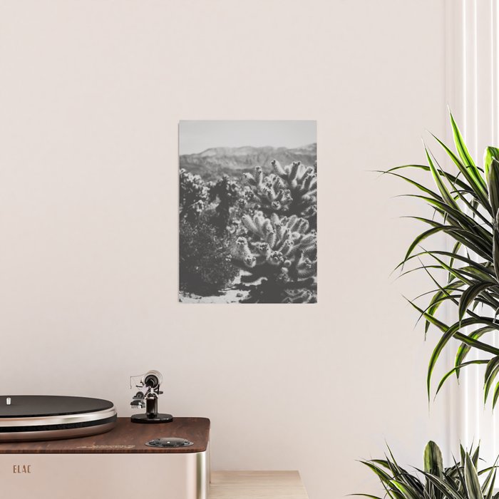 Cholla Cactus Garden (Black + White) Poster Gallery Image 2