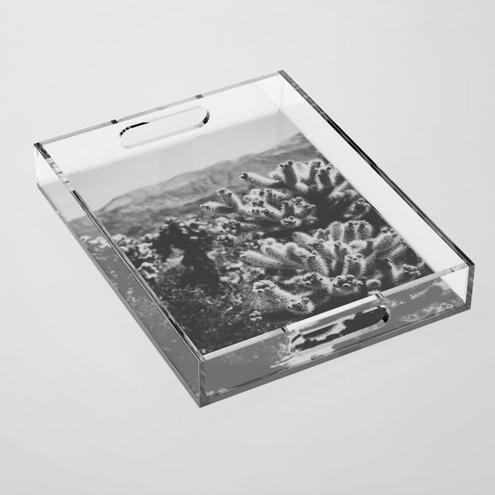 Cholla Cactus Garden (Black + White) Acrylic Tray Gallery Image 1