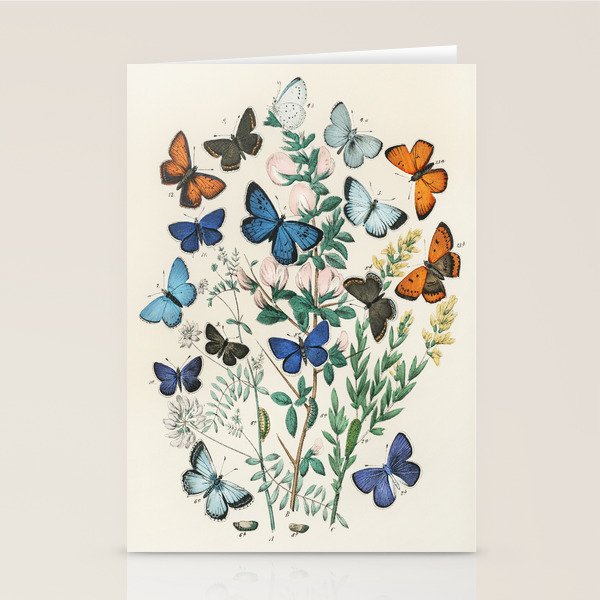 Vintage Scientific Illustration Butterfly Botanical Floral Lithograph Encyclopaedia Diagrams  Stationery Card Gallery Image 2