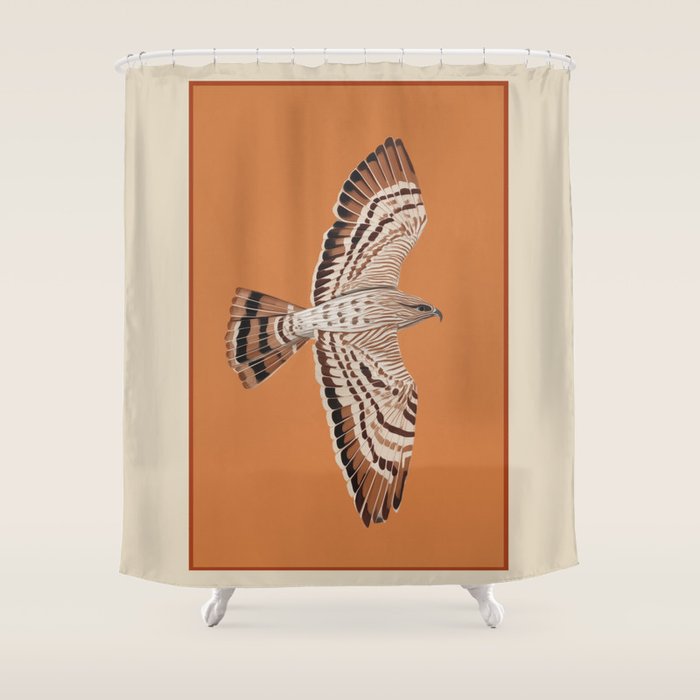 Hawk in Still Flight Shower Curtain Gallery Image 1