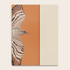Hawk in Still Flight Notebook Gallery Image 4