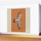 Hawk in Still Flight Wall Mural Gallery Image 2