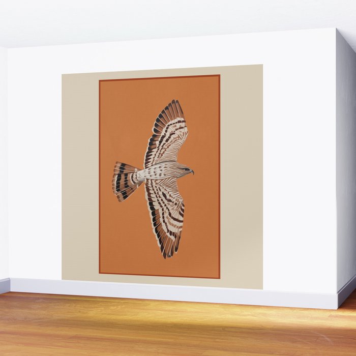 Hawk in Still Flight Wall Mural Gallery Image 2