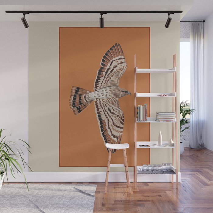 Hawk in Still Flight Wall Mural Gallery Image 1