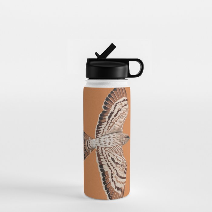 Hawk in Still Flight Water Bottle Gallery Image 1