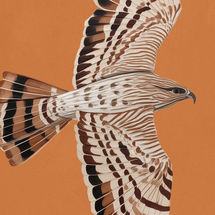 Hawk in Still Flight Coffee Mug Gallery Image 2