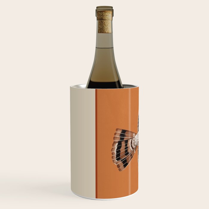 Hawk in Still Flight Wine Chiller Gallery Image 2