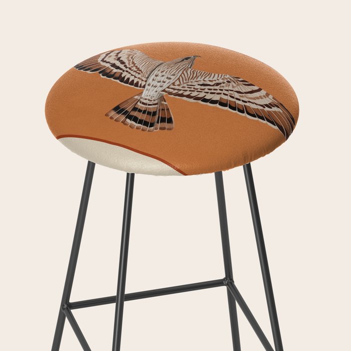 Hawk in Still Flight Stool Gallery Image 2