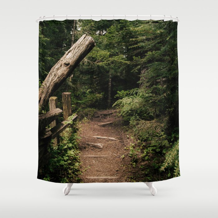 Forest Path Shower Curtain Gallery Image 1
