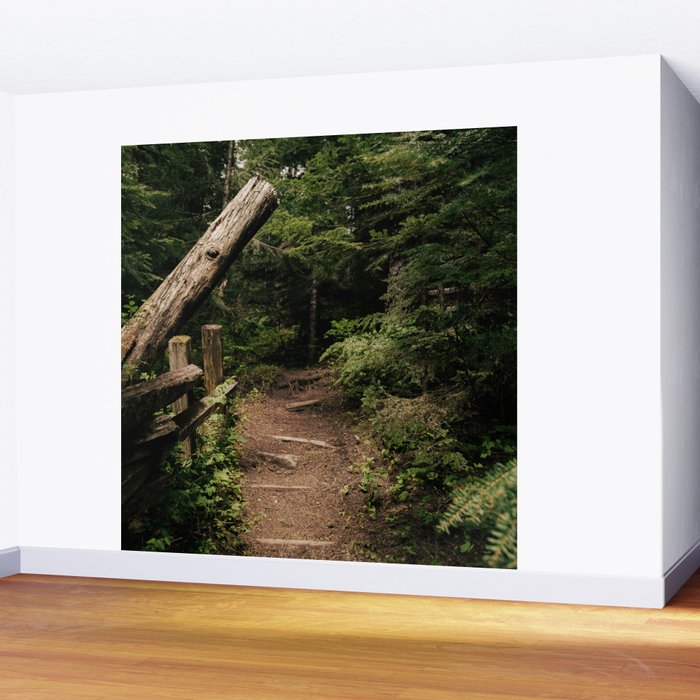 Forest Path Wall Mural Gallery Image 2