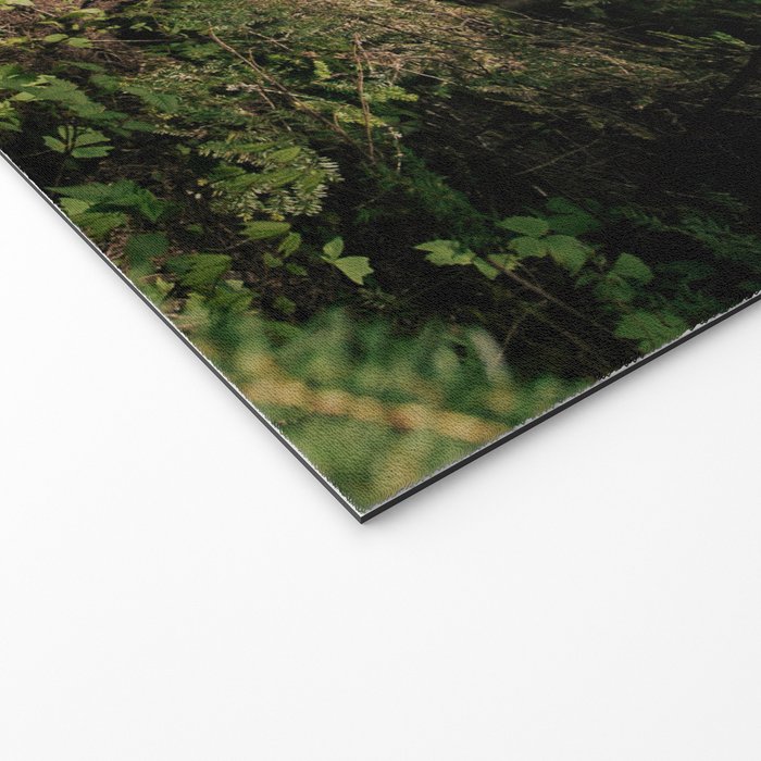 Forest Path Welcome Mat Gallery Image 2