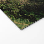 Forest Path Welcome Mat Gallery Image 2
