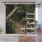 Forest Path Wall Mural Gallery Image 1