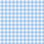 Gingham Plaid Pattern - Natural Sky Blue Coffee Mug Gallery Image 2