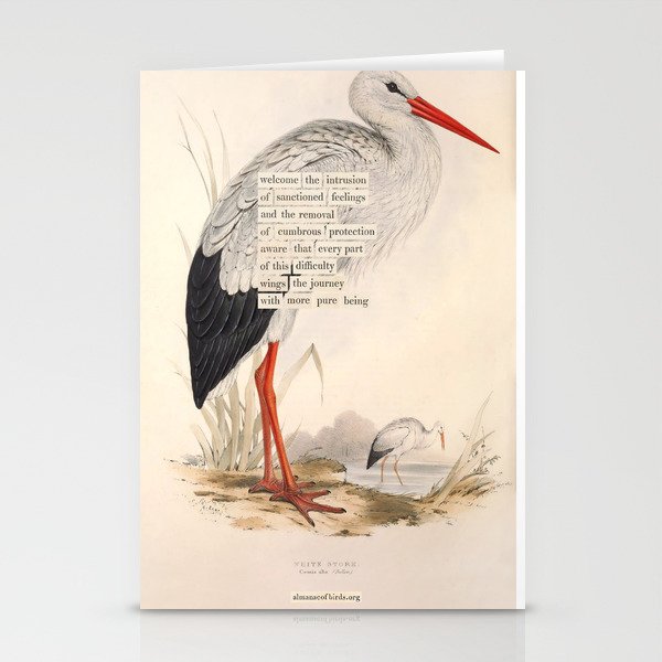 Bird Divinations: White Stork (about: almanacofbirds.org) Stationery Card Gallery Image 2