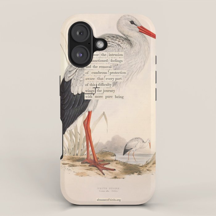 Bird Divinations: White Stork (about: almanacofbirds.org) iPhone Case Gallery Image 1