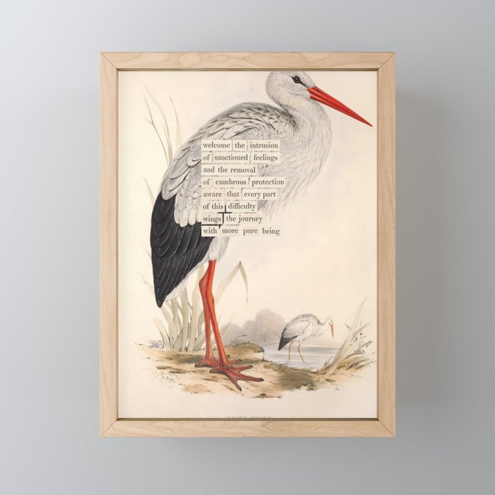 Bird Divinations: White Stork (about: almanacofbirds.org) Mini Art Print Gallery Image 1
