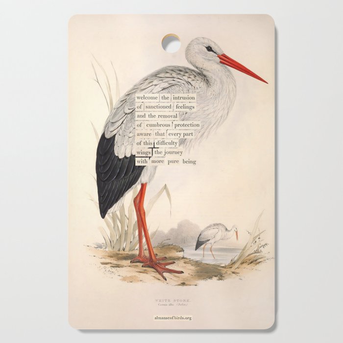 Bird Divinations: White Stork (about: almanacofbirds.org) Cutting Board Gallery Image 1