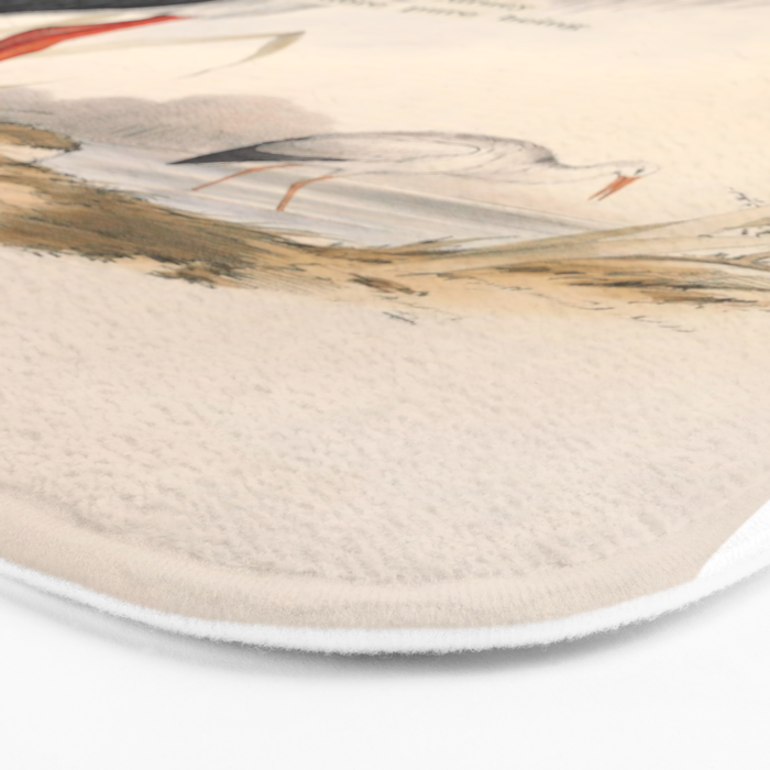 Bird Divinations: White Stork (about: almanacofbirds.org) Bath Mat Gallery Image 3