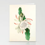  Cactus by Clarissa Munger Badger, 1866 (benefitting The Nature Conservancy) Stationery Card Gallery Image 2
