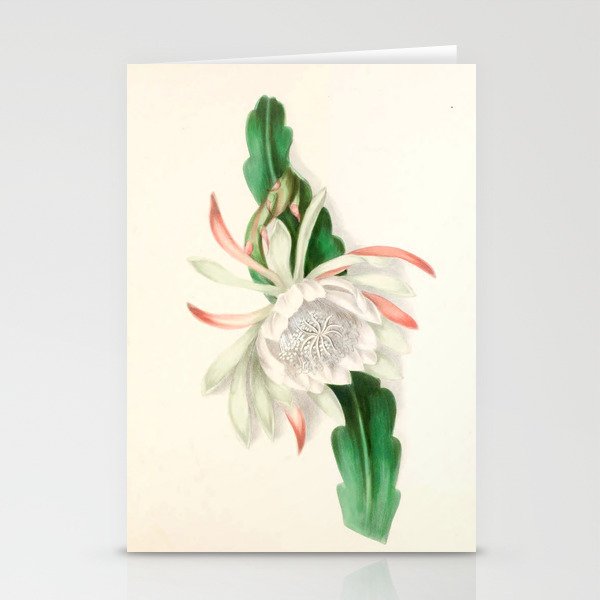  Cactus by Clarissa Munger Badger, 1866 (benefitting The Nature Conservancy) Stationery Card Gallery Image 2
