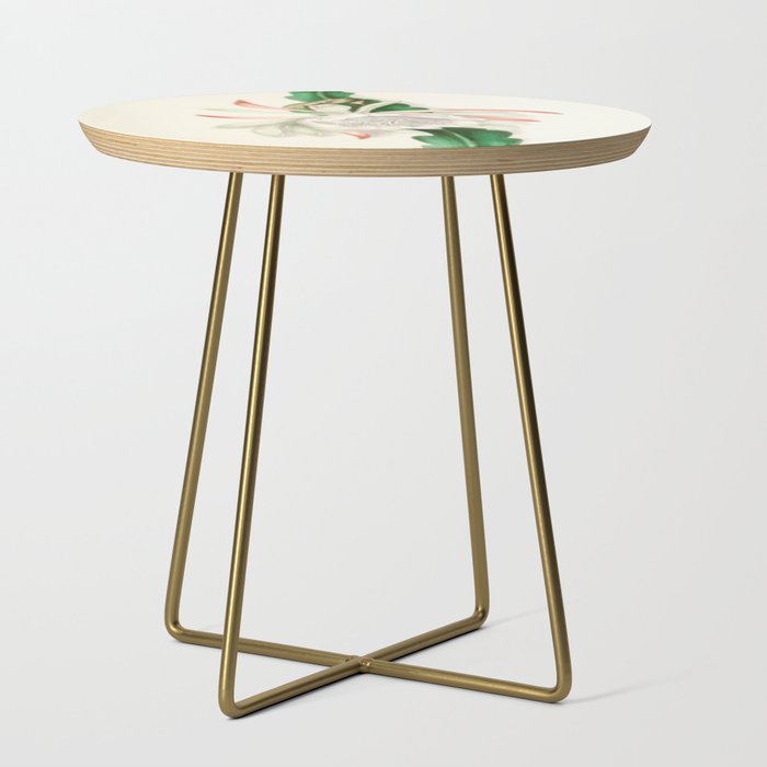  Cactus by Clarissa Munger Badger, 1866 (benefitting The Nature Conservancy) Side Table Gallery Image 1