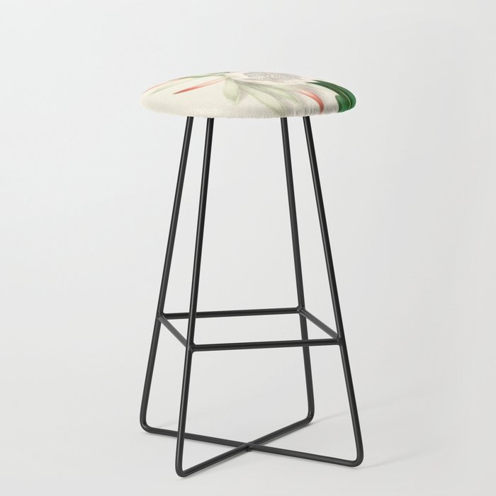  Cactus by Clarissa Munger Badger, 1866 (benefitting The Nature Conservancy) Stool Gallery Image 1